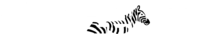 vivozebra.hu